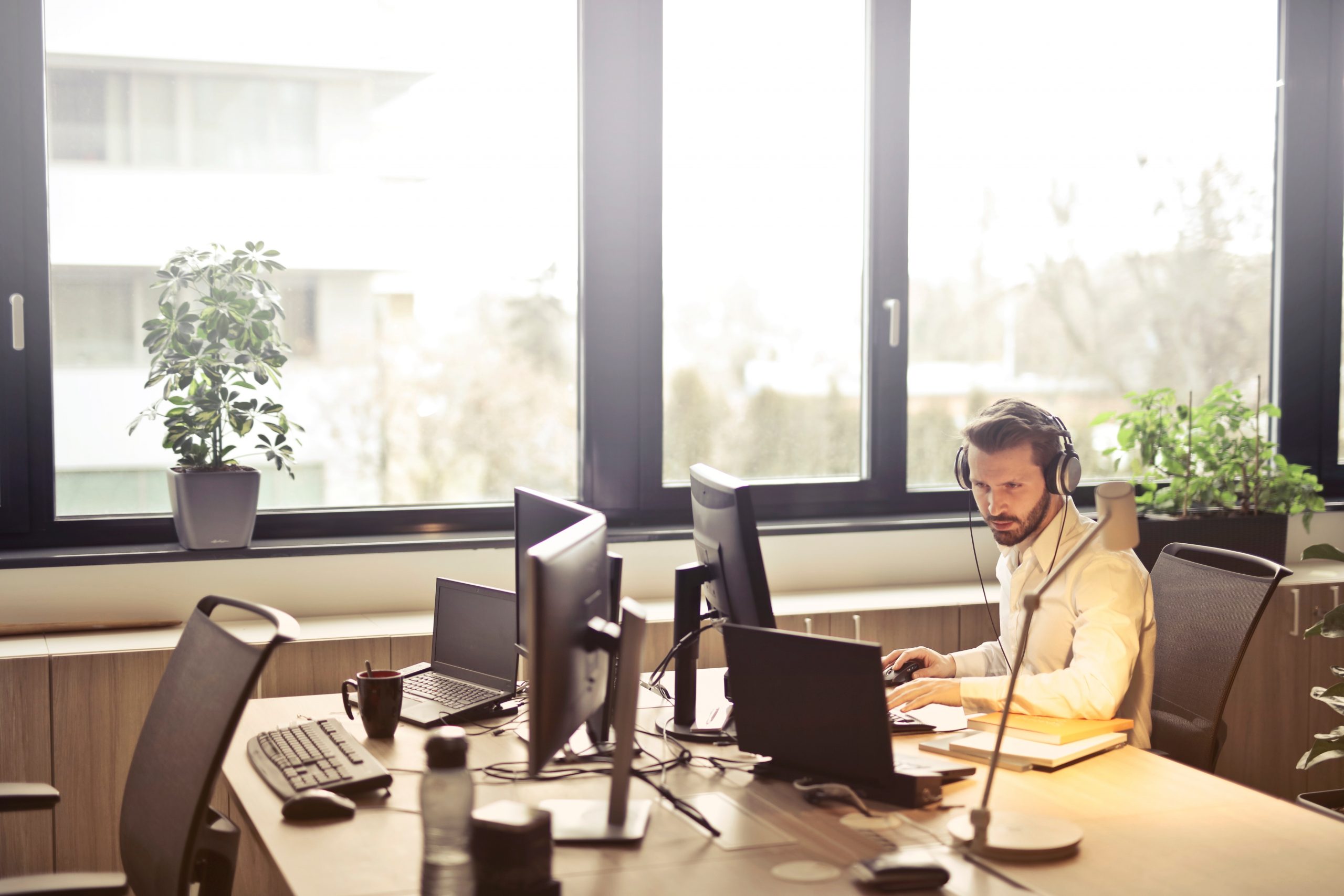 Virtual Assistant at Phil Labor BPO